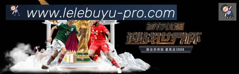 未来规划